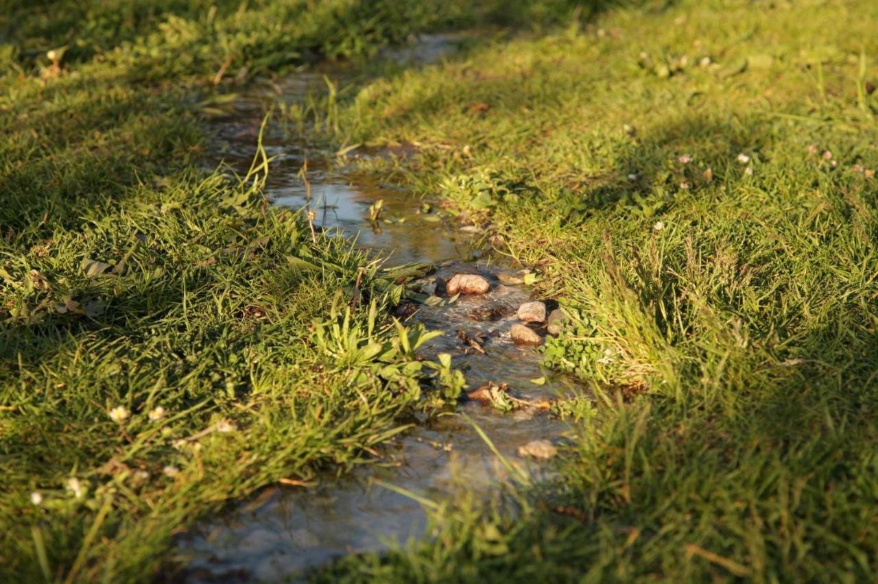 Grosse Wohnung / Haushaelfte In Peetzig Am See Angermunde Extérieur photo