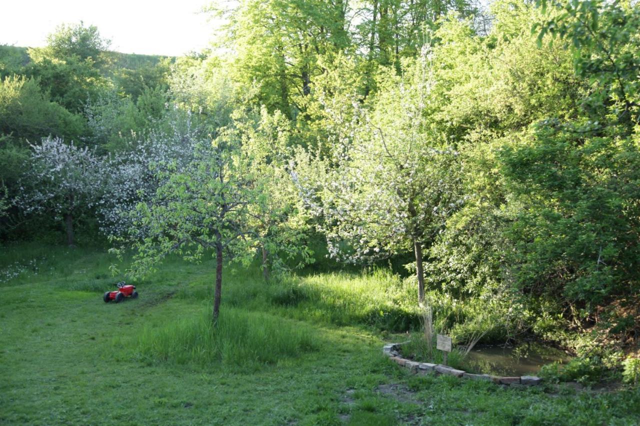 Grosse Wohnung / Haushaelfte In Peetzig Am See Angermunde Extérieur photo