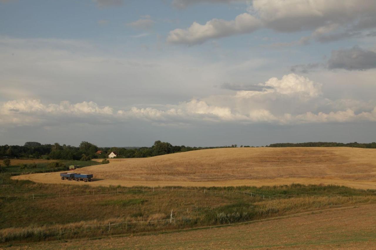 Grosse Wohnung / Haushaelfte In Peetzig Am See Angermunde Extérieur photo